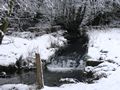 Bilder - Winterlandschaft in Watterbach